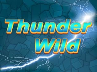 Thunder Wild screenshot